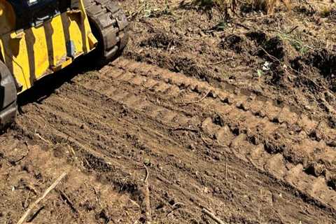 Stump Grinding Service With Advanced Forestry Equipment: A Smart Choice In Johnson City