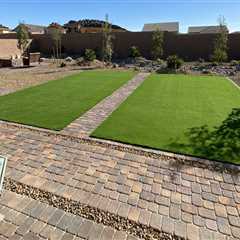 Desert-Ready Hardscaping: Why Insect Control Companies In Las Vegas Are Essential