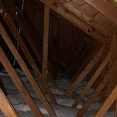 Why Ant Extermination In Greater Orlando Helps Keep Attic Fans Working Smoothly