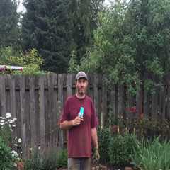 Sprinkler Installation Tips That Improve Tree Maintenance Results In Portland