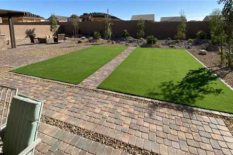Desert-Ready Hardscaping: Why Insect Control Companies In Las Vegas Are Essential