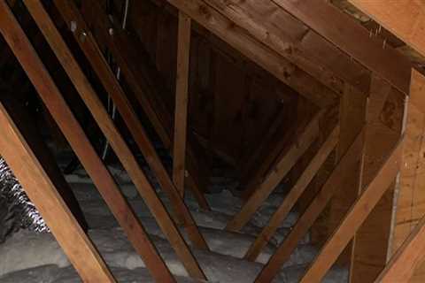 Why Ant Extermination In Greater Orlando Helps Keep Attic Fans Working Smoothly