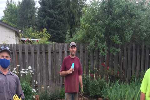 Sprinkler Installation Tips That Improve Tree Maintenance Results In Portland