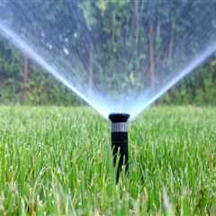 Preparing Your Yard For Residential Irrigation System Installation With Proper Tree Trimming In..