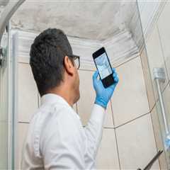 The Impact of Building Materials on Mold Detection and Inspection Accuracy