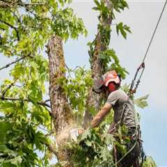 Maximizing Landscaper Services With Advanced Forestry Equipment In Portland, OR
