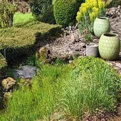 Forestry Mulching And Landscape Lighting Synergy: Creating Portland, OR's Most Beautiful Yards