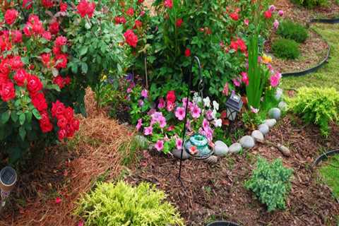 The Top Benefits of Hiring Professionals for Front Yard Landscaping