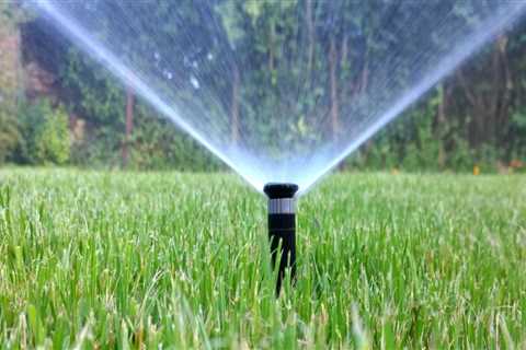 Preparing Your Yard For Residential Irrigation System Installation With Proper Tree Trimming In..