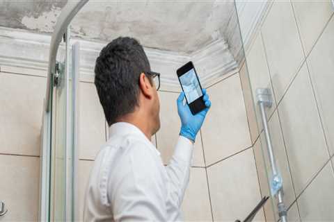 The Impact of Building Materials on Mold Detection and Inspection Accuracy