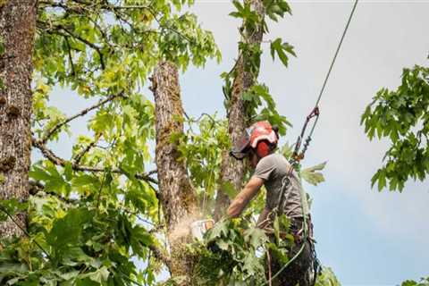 Maximizing Landscaper Services With Advanced Forestry Equipment In Portland, OR