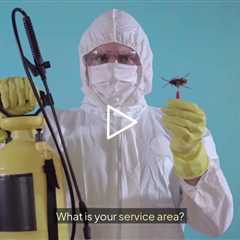 PJ Mac Pest Control Berwyn, PA - PJ Mac Pest Control