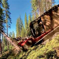 Steel Meets Sustainability: How Smart Machines Are Changing Forest Management