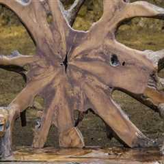 Functional Art: Sculptural Furniture That Doubles as Outdoor Décor