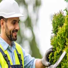 How Professional Tree Trimming And Fencing Companies Boost Curb Appeal In Portland