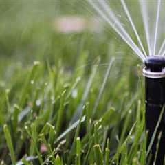 Common Sprinkler Problems—and How to Fix Them Fast
