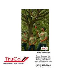 Provo Utah Landscaping Design