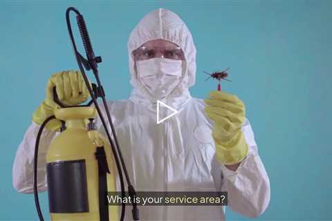 PJ Mac Pest Control Berwyn, PA - PJ Mac Pest Control