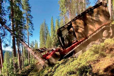 Steel Meets Sustainability: How Smart Machines Are Changing Forest Management