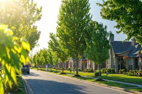 Urban Tree Stress: How Pavement and Pollution Change Maintenance Needs
