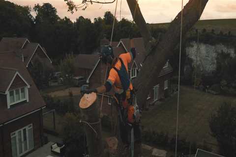 The Importance Of Proactive Landscape Maintenance For Efficient Tree Care Services In Urban..