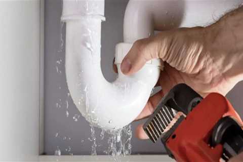 Stopping The Leaks: How A Professional Shower Cleaning Service Can Prevent Water Damage Leading To..
