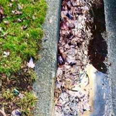 The Surprising Ways Sprinkler Runoff Impacts Driveways, Walkways, and Siding