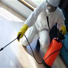 Protect and Repair Your Hardwood Floors in Dallas–Fort Worth