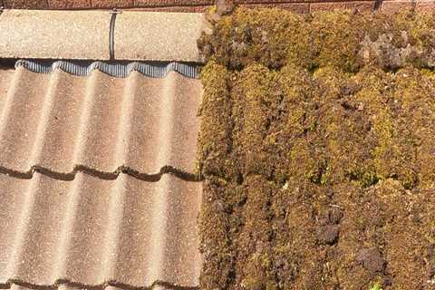 How Soft Washing Protects Your Roof’s Structural Layers Before and After Restoration
