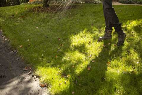 Why Landscaping Companies Partner With Soft Washing Teams for Complete Property Care