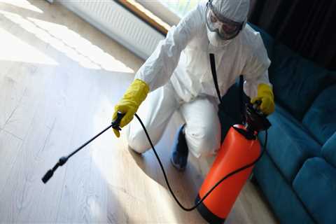 Protect and Repair Your Hardwood Floors in Dallas–Fort Worth