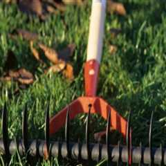 Transform Your Home with Lawn Care and Deep Cleaning