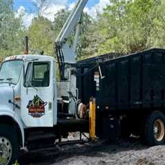 Top Reasons Tree Service Companies Use Dumpsters During Crane Operations