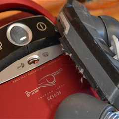 Enhance Your Portland Property with Smart Groundskeeping and Carpet Care