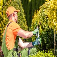 Coordinating Landscaping and Cleaning Services for Residential and Commercial Properties