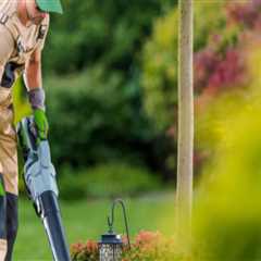 Maintaining Professional Spaces With Groundskeeping and Cleaning Services