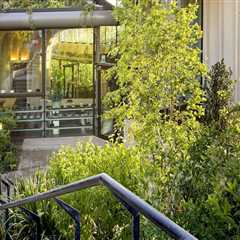 How Cleaning Services Support the Vision of Landscape Architects