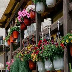 Enhance Curb Appeal with Expert Landscape Design