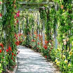 Transform Your Yard with Sprinklers & Pergolas in Tigard, OR