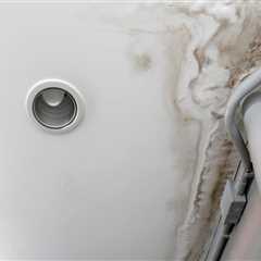 Resolve Plumbing Issues After Mold Inspection