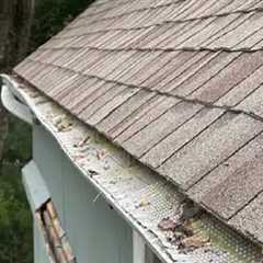 Gutter maintenance Hampton, NJ · Thursday, Dec 11 📸