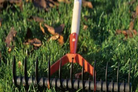 Transform Your Home with Lawn Care and Deep Cleaning