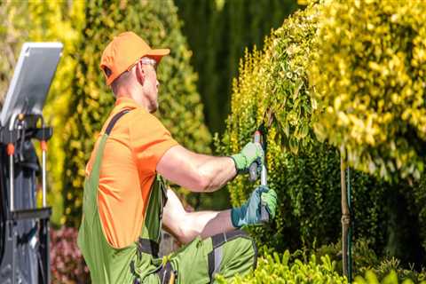 Coordinating Landscaping and Cleaning Services for Residential and Commercial Properties