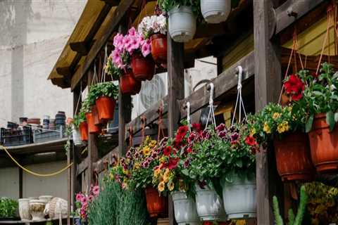 Enhance Curb Appeal with Expert Landscape Design