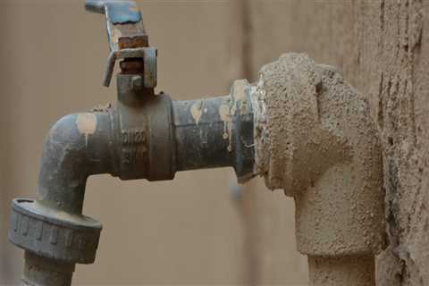 Keep Your Louisville, CO Home Mold-Free with Expert Plumbing