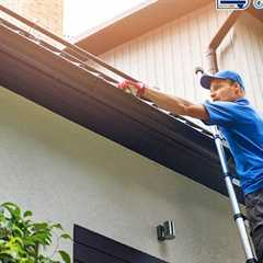 Gutter cleaning near me Willow Grove, PA · Tuesday, Nov 25, 2025 📸