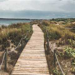 Your Guide to Paver Sealing Jacksonville