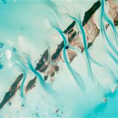 Jacksonville Paver Sealing: Long-Lasting Paver Maintenance Solutions