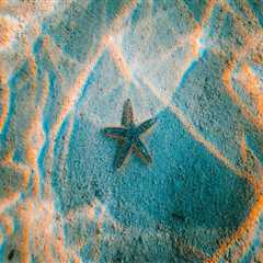 Licensed Paver Sealing Specialists