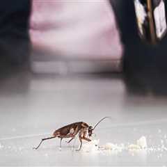 Effective Groundskeeping and Pest Control in Massachusetts